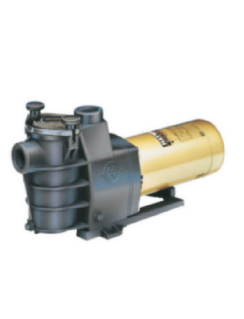Magnum Force Pump For Inground Pools (Various Horse Powers)